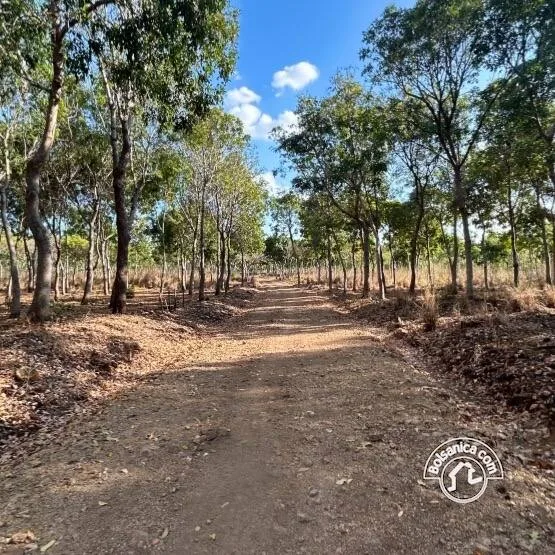 Venta de Finca Forestal, Villa El Carmen - foto 13