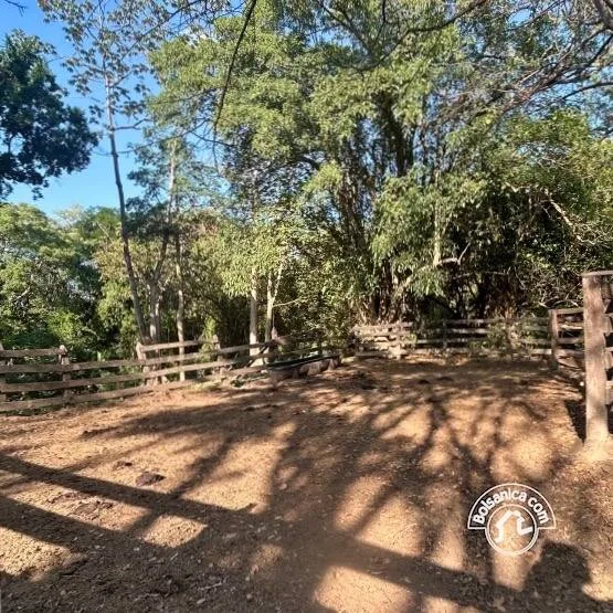 Venta de Finca Forestal, Villa El Carmen - foto 15