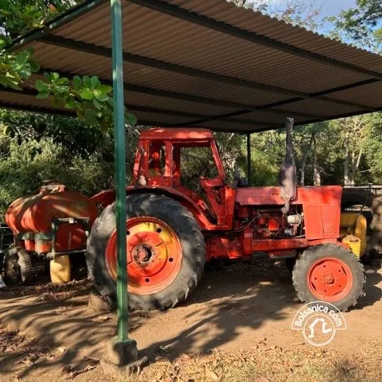 Venta de Finca Forestal, Villa El Carmen - foto 16