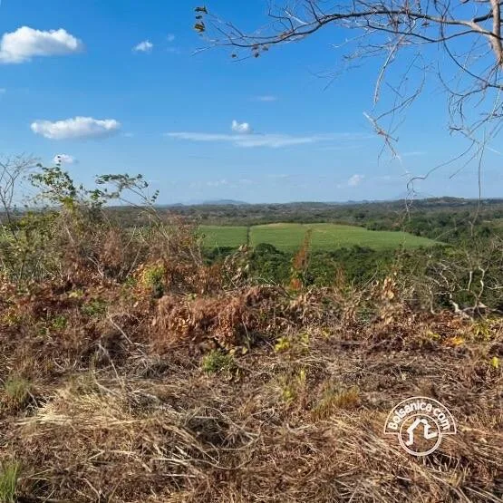 Venta de Finca Forestal, Villa El Carmen - foto 2