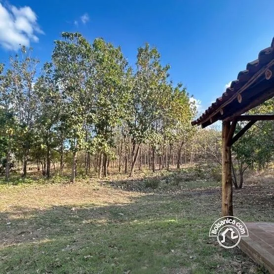 Venta de Finca Forestal, Villa El Carmen - foto 6