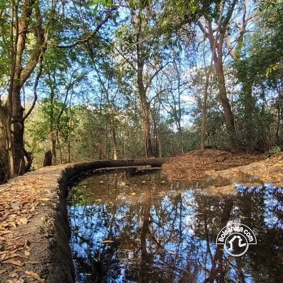 Venta de Finca en San Francisco Libre - foto 7