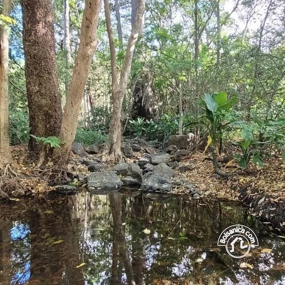 Venta de Finca en San Francisco Libre