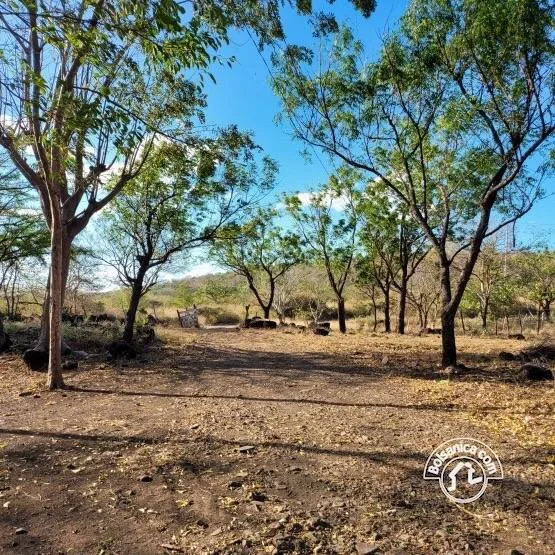 Venta de Finca en San Francisco Libre - foto 6