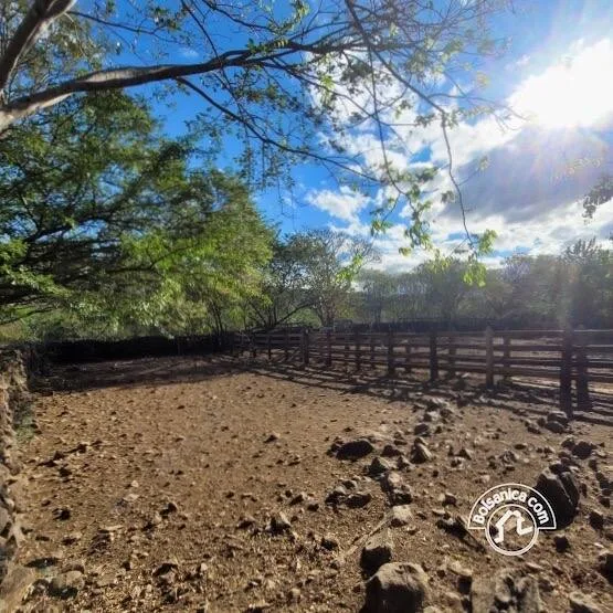 Venta de Finca en San Francisco Libre - foto 4
