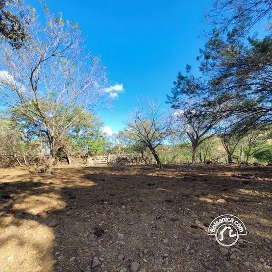 Venta de Finca en San Francisco Libre - foto 9
