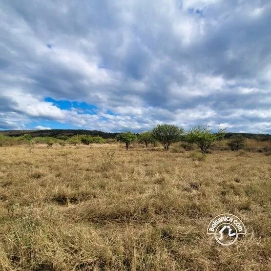 Venta de Finca en San Francisco Libre - foto 5