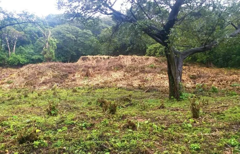 Venta de Terreno en Las Nubes, El Crucero