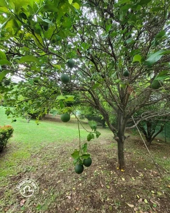 Alquiler de casa en Villa Fontana Sur, Managua - foto 26