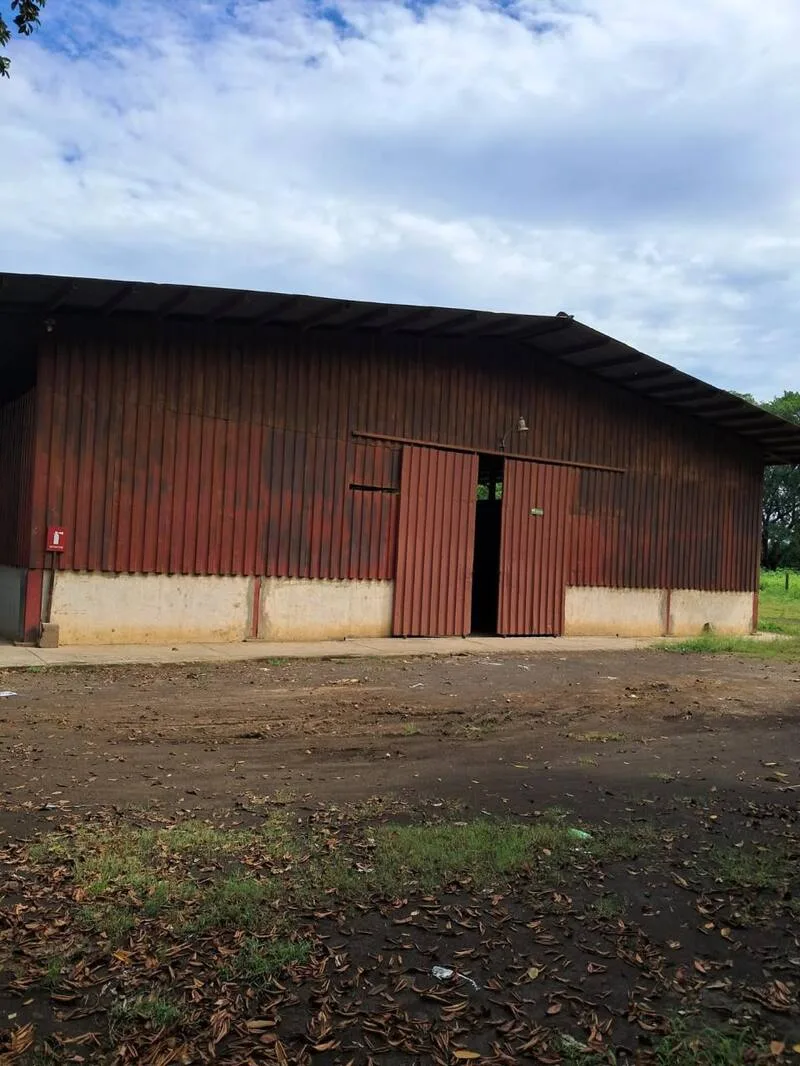 Alquiler de Bodega en Leon
