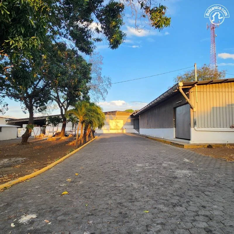 Alquiler de Bodega en Carretera a Masaya - foto 3