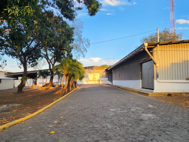 Alquiler de Bodega en Carretera a Masaya