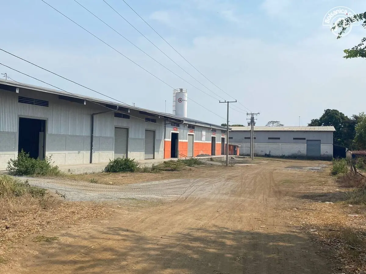 Alquiler de bodega en Carretera Masaya, Managua, foto 4