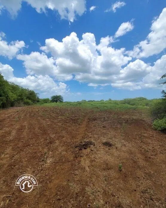 Venta de finca en Carazo, foto 2