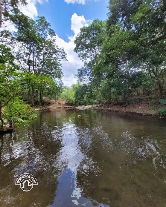 Venta de finca en Carazo, foto 1