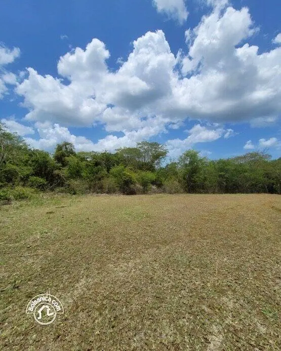 Venta de finca en Carazo, foto 3