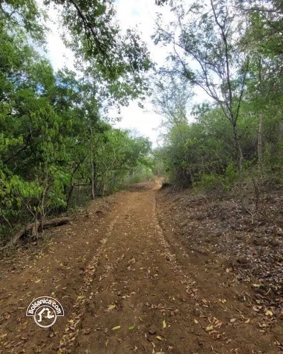 Venta de finca en Carazo, foto 5