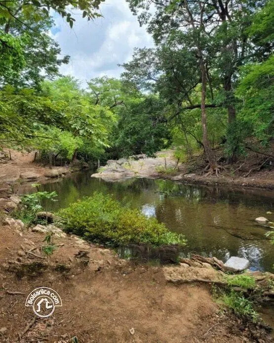 Venta de finca en Carazo, foto 14