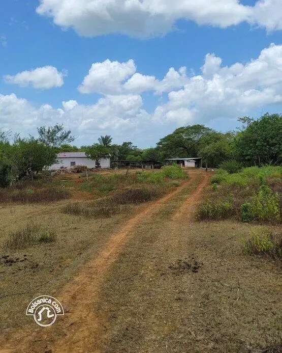 Venta de finca en Carazo, foto 13