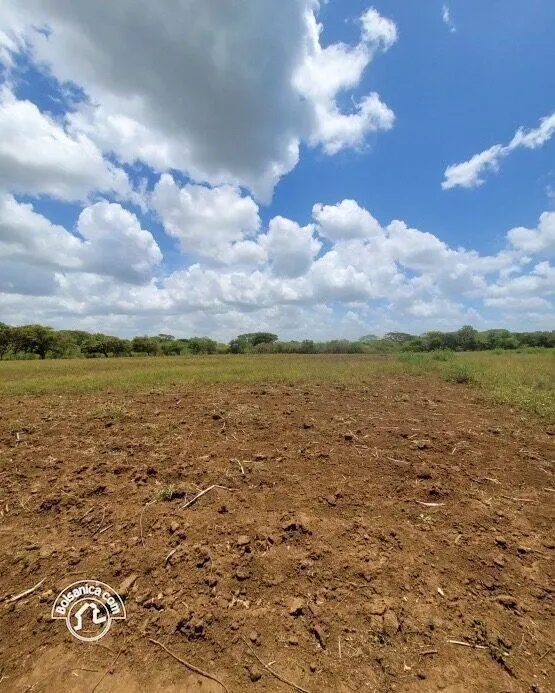 Venta de finca en Carazo, foto 7