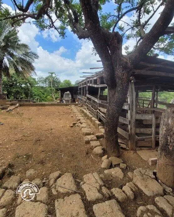 Venta de finca en Carazo, foto 4
