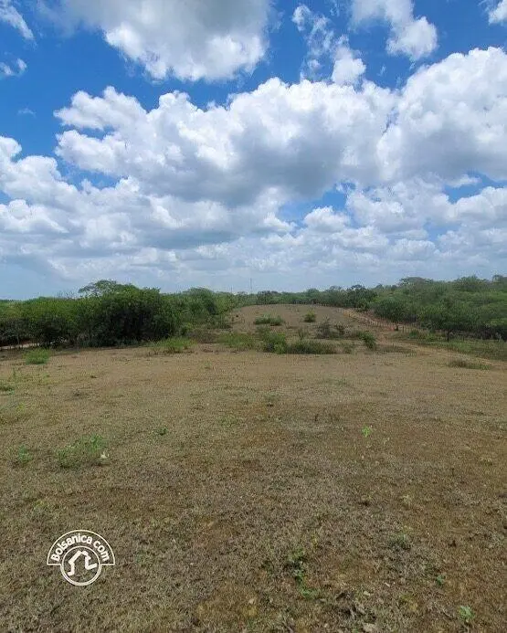 Venta de finca en Carazo, foto 9