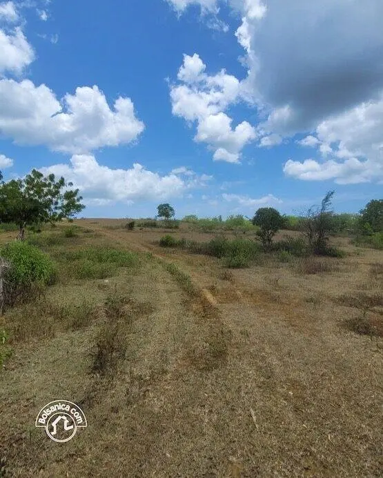 Venta de finca en Carazo, foto 11