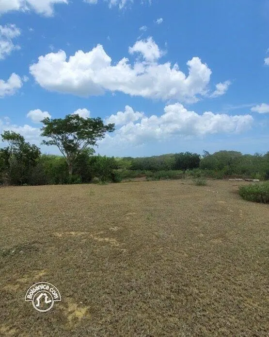 Venta de finca en Carazo, foto 10