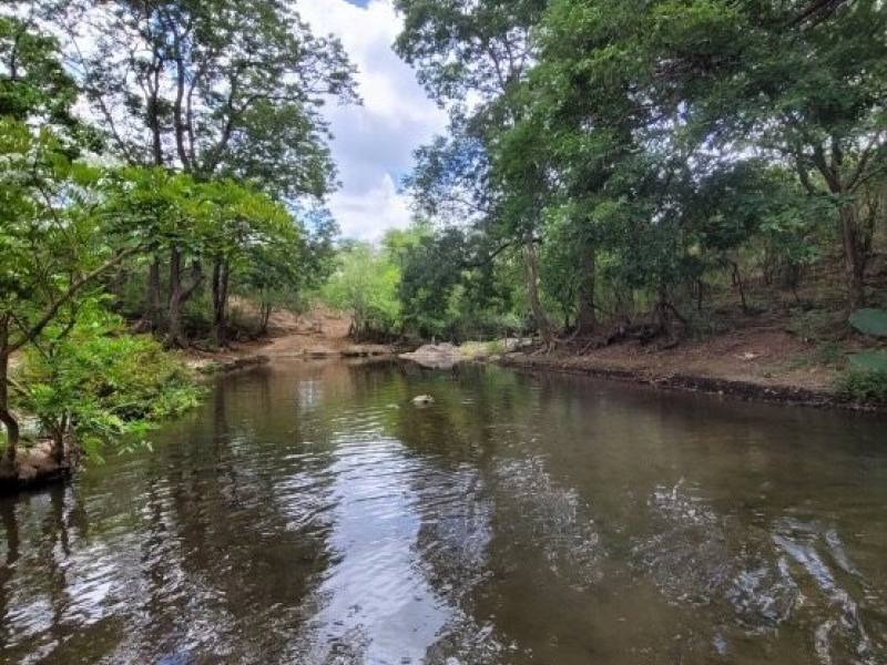 Finca 100 MNZ en Venta en La Trinidad, Diriamba.