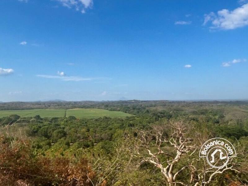 Venta de Finca Forestal Villa El Carmen