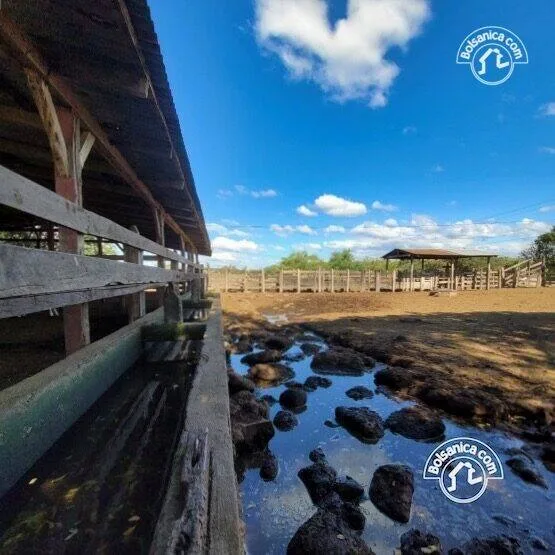Venta de finca ganadera y agrícola en San Francisco Libre - foto 2
