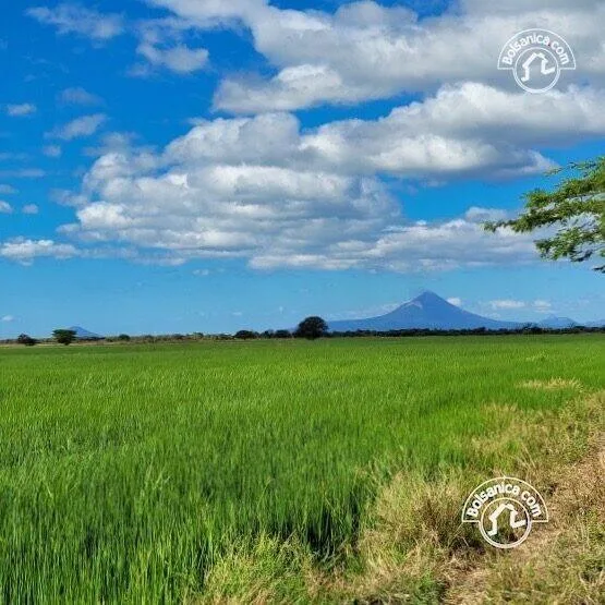 Venta de finca ganadera y agrícola en San Francisco Libre