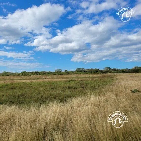 Venta de finca ganadera y agrícola en San Francisco Libre - foto 15