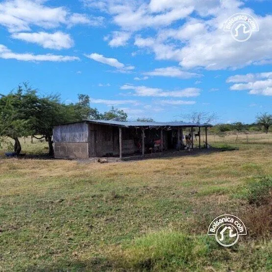 Venta de finca ganadera y agrícola en San Francisco Libre - foto 19