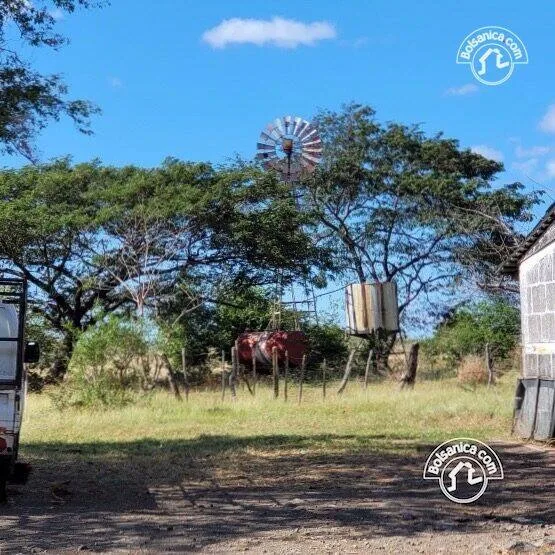 Venta de finca ganadera y agrícola en San Francisco Libre - foto 4