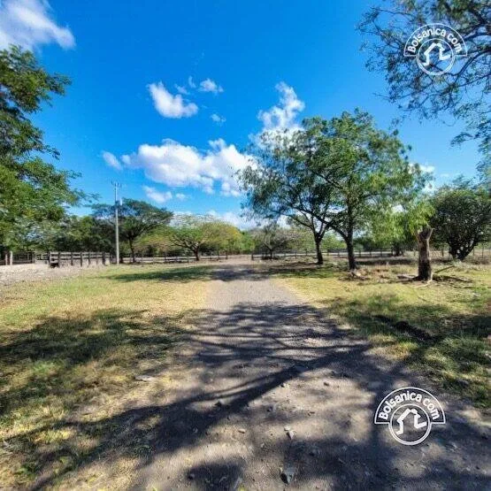 Venta de finca ganadera y agrícola en San Francisco Libre - foto 14