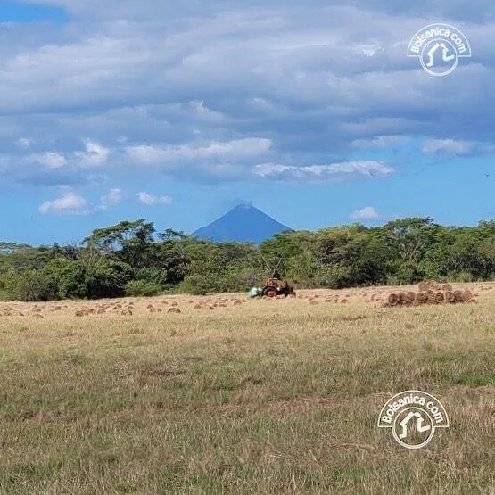 Venta de finca ganadera y agrícola en San Francisco Libre - foto 13