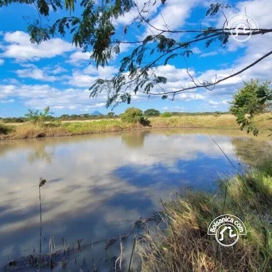 Venta de finca ganadera y agrícola en San Francisco Libre - foto 7