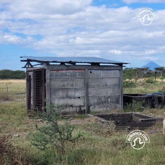 Venta de finca ganadera y agrícola en San Francisco Libre - foto 10