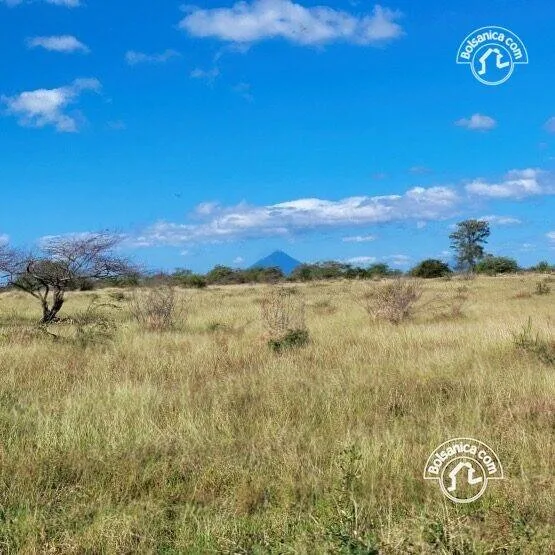 Venta de finca ganadera y agrícola en San Francisco Libre - foto 3