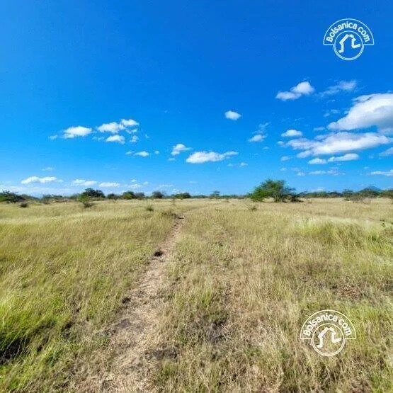 Venta de finca ganadera y agrícola en San Francisco Libre - foto 6