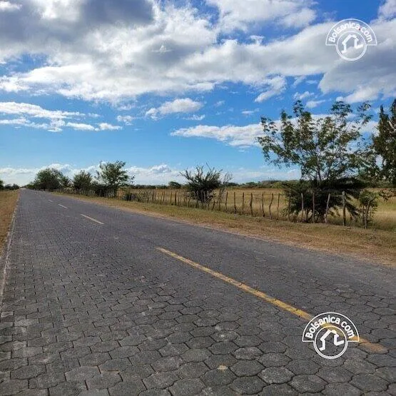 Venta de finca ganadera y agrícola en San Francisco Libre - foto 17