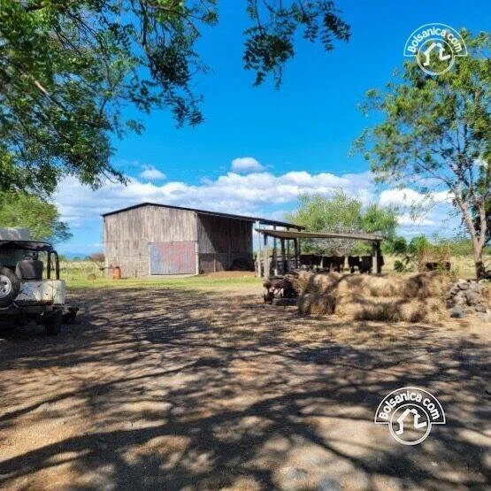 Venta de finca ganadera y agrícola en San Francisco Libre - foto 12