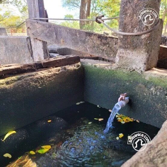 Venta de finca ganadera y agrícola en San Francisco Libre - foto 5