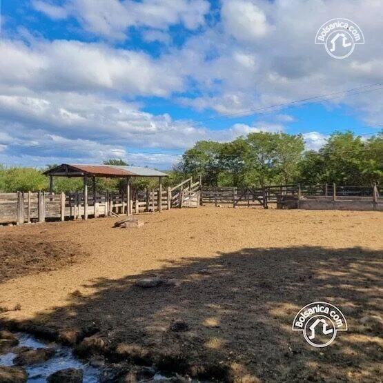 Venta de finca ganadera y agrícola en San Francisco Libre - foto 18