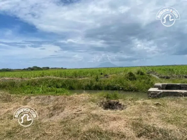 Venta de finca en Rivas, foto 2