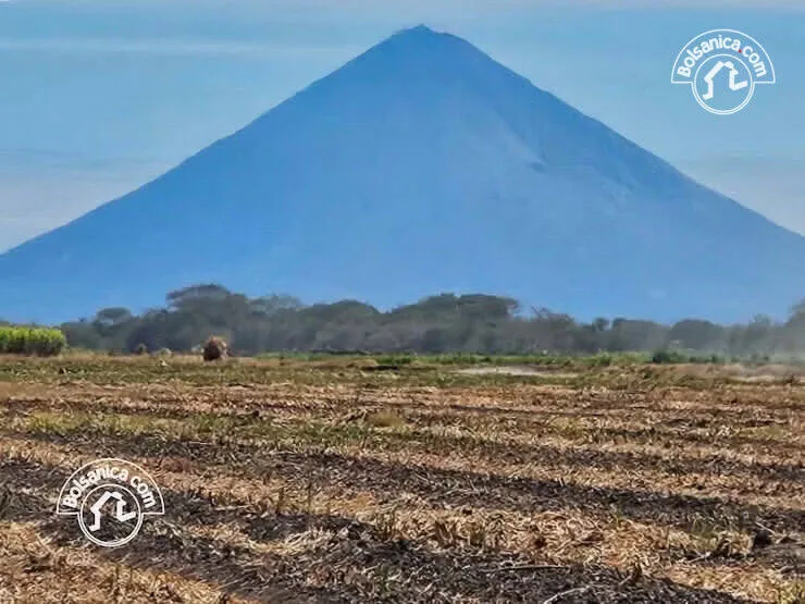 Venta de Finca Caña en Producción 260 Manzanas - foto 4