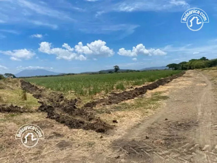 Venta de Finca Caña en Producción 260 Manzanas - foto 3