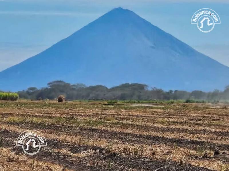 Venta de Finca Caña en Producción 260 Manzanas