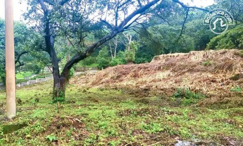 Terreno en venta Las Nubes, El Crucero - foto 3